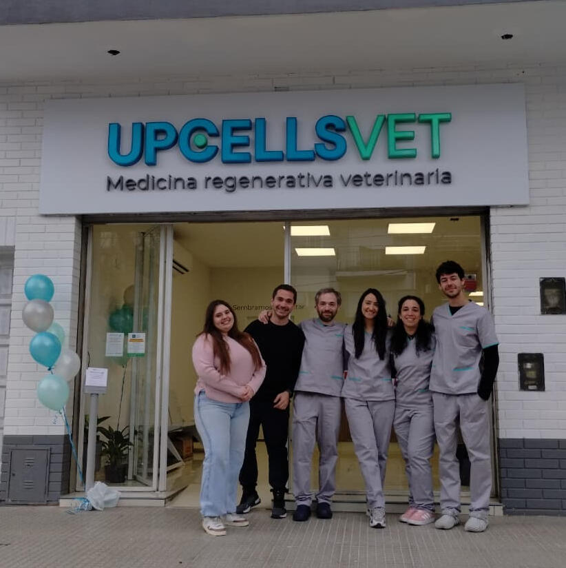 Perro acostad contemplando